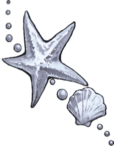 星的触摸