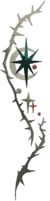 星空的回响